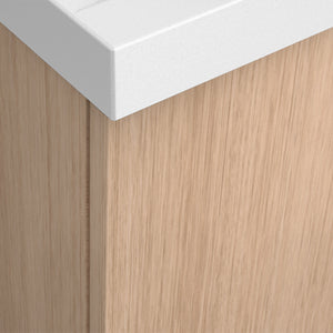 Concept plan vasque + meuble portes TOUCAN 60 cm